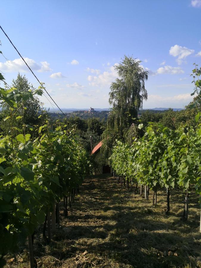 Vikendica Sirec Villa Ptujska Gora ภายนอก รูปภาพ